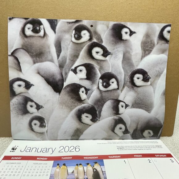 NWOT World Wildlife Fund 16-Mo. Wall Calendar, 9/2025 - 12/2026, 11"T x 8 1/2"W - Picture 4 of 16